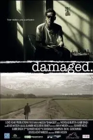 Damaged_peliplat