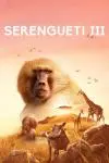 Serengeti_peliplat