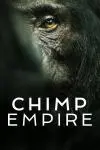 Chimp Empire_peliplat
