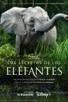 Secretos de los Elefantes_peliplat