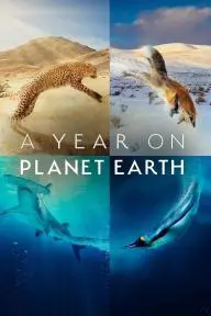 A Year on Planet Earth_peliplat
