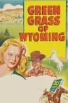 Green Grass of Wyoming_peliplat