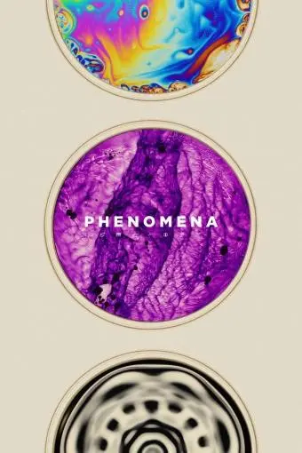 Phenomena_peliplat