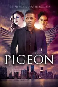 Pigeon_peliplat