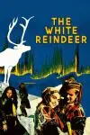 The White Reindeer_peliplat