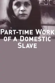 Part-Time Work of a Domestic Slave_peliplat