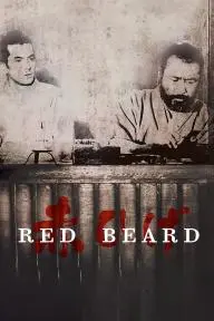 Red Beard_peliplat