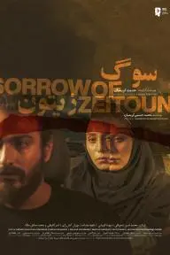 Sorrow of Zeitoun_peliplat