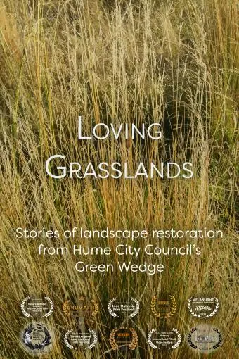 Loving Grasslands_peliplat