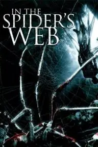 In the Spider's Web_peliplat