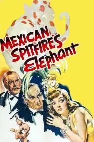 Mexican Spitfire's Elephant_peliplat