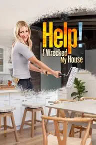 Help! I Wrecked My House_peliplat