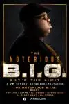 The Notorious B.I.G. Sky's the Limit: A VR Concert Experience_peliplat