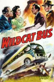 Wildcat Bus_peliplat