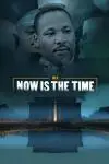 MLK: Now Is the Time_peliplat