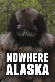 Nowhere Alaska_peliplat
