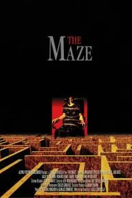 The Maze_peliplat
