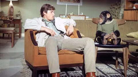 The Barefoot Executive (1971) ♦RARE♦ Theatrical Trailer