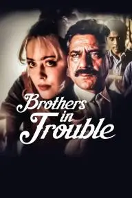 Brothers in Trouble_peliplat