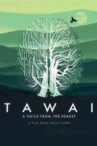 Tawai: A Voice from the Forest_peliplat