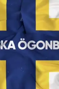 Finska Ögonblick i Sverige_peliplat