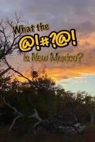 What the @!#?@! is New Mexico?_peliplat