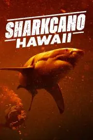 Sharkcano: Hawaii_peliplat