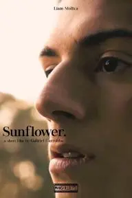 Sunflower_peliplat