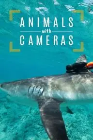 Animals with Cameras, A Nature Miniseries_peliplat