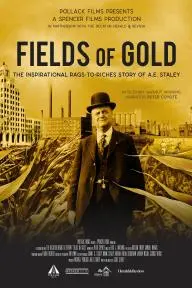 Fields of Gold_peliplat