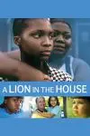 A Lion in the House_peliplat