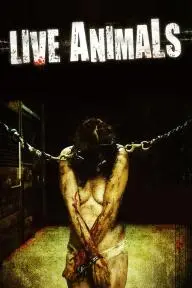 Live Animals_peliplat