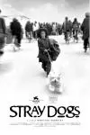 Stray Dogs_peliplat