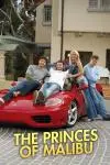 The Princes of Malibu_peliplat