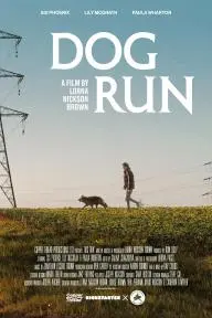 Dog Run_peliplat