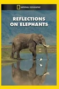 Reflections on Elephants_peliplat
