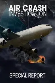 Air Crash Investigation Special Report_peliplat