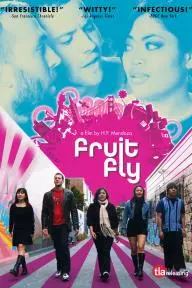 Fruit Fly_peliplat