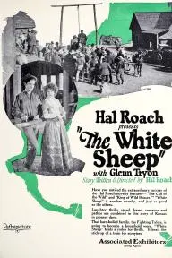 The White Sheep_peliplat