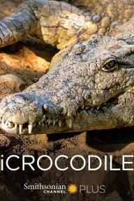 iCrocodile_peliplat