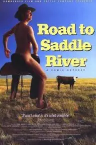 Road to Saddle River_peliplat