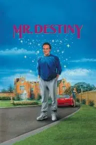 Mr. Destiny_peliplat