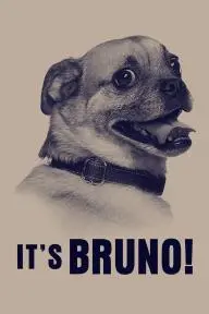It's Bruno!_peliplat