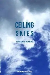 Ceiling Skies_peliplat