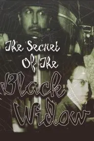 The Secret of the Black Widow_peliplat