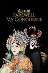 Farewell My Concubine_peliplat