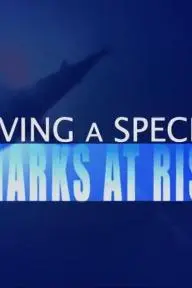 Saving a Species: Sharks at Risk_peliplat