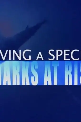 Saving a Species: Sharks at Risk_peliplat
