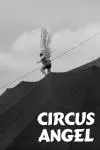 Circus Angel_peliplat