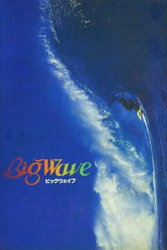 Big Wave_peliplat